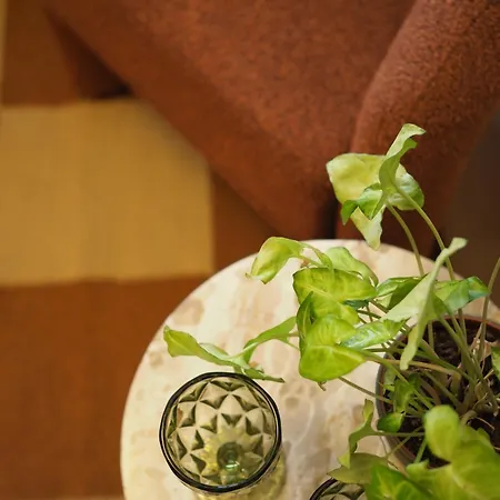 Grazerhof * グラーツ