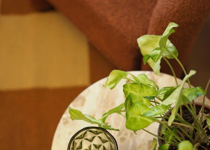 Grazerhof * غراتس